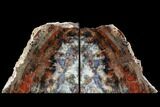 Tall, Arizona Petrified Wood Bookends - Colorful #87598-1